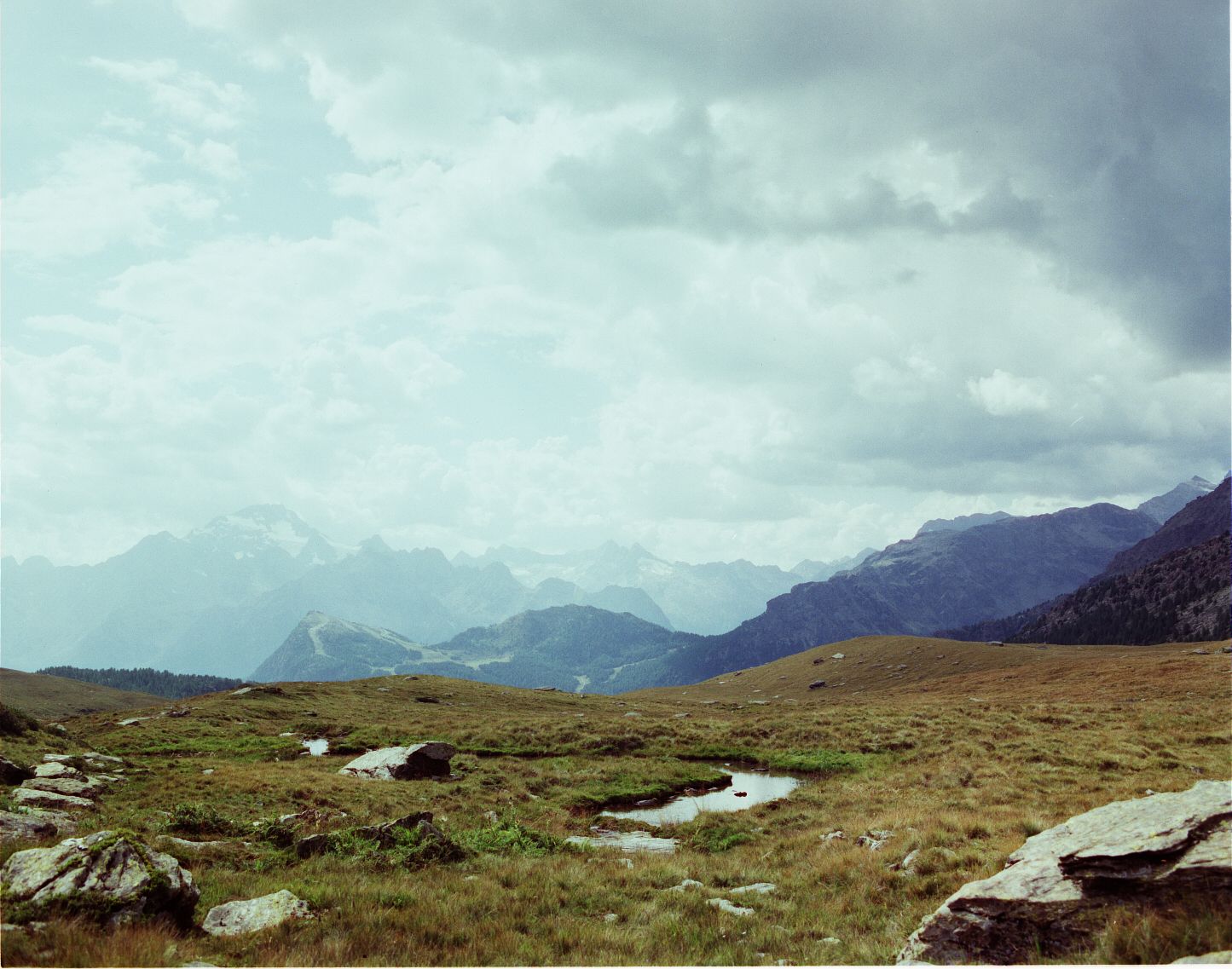 Frame from Jumping to Conclusions, shot on K65K 12-perf square format